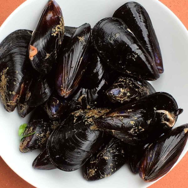 Cozze